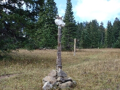 ColoradoTrail2006 (147).JPG