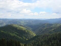 ColoradoTrail2006 (155).JPG