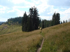 ColoradoTrail2006 (157).JPG