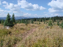 ColoradoTrail2006 (159).JPG