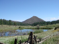 ColoradoTrail2006 (16).JPG