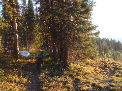 ColoradoTrail2006 (164).JPG