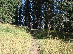 ColoradoTrail2006 (166).JPG