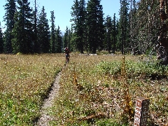 ColoradoTrail2006 (167).JPG