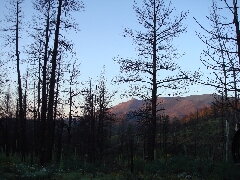 ColoradoTrail2006 (17).JPG