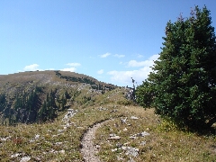 ColoradoTrail2006 (174).JPG