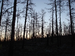 ColoradoTrail2006 (18).JPG