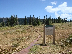 ColoradoTrail2006 (189).JPG