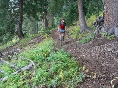 ColoradoTrail2006 (194).JPG