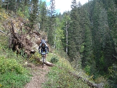 ColoradoTrail2006 (199).JPG