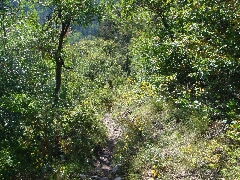 ColoradoTrail2006 (205).JPG