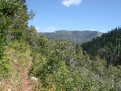 ColoradoTrail2006 (206).JPG