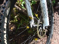 ColoradoTrail2006 (207).JPG