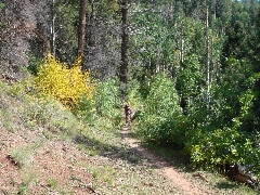 ColoradoTrail2006 (208).JPG