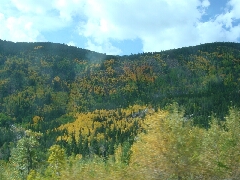 ColoradoTrail2006 (215).JPG