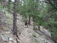 ColoradoTrail2006 (46).JPG