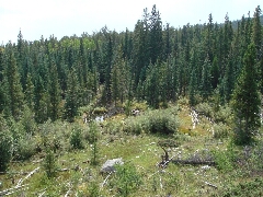 ColoradoTrail2006 (52).JPG
