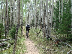 ColoradoTrail2006 (61).JPG