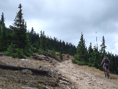 ColoradoTrail2006 (64).JPG