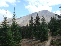 ColoradoTrail2006 (78).JPG