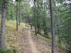 ColoradoTrail2006 (90).JPG