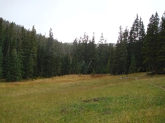 ColoradoTrail2006 (96).JPG